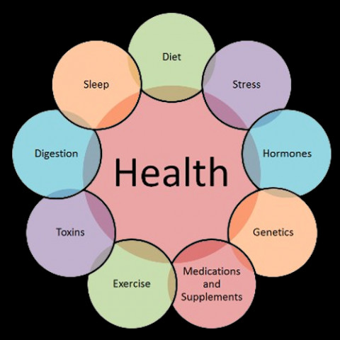 Visit Life Health and wellness coach | Jayaanthappa